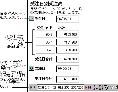 1 つのグループを展開したデータ アクセス ページ