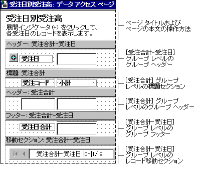 2 つのグループ レベルを持つデータ アクセス ページのセクション