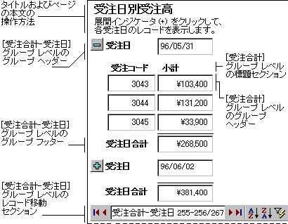 1 つのレコード グループを展開した状態のグループ化されたデータ アクセス ページ