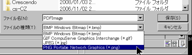 �摜�`���̑I��